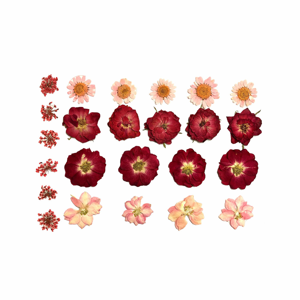 Red and pink real pressed flower face and body stickers for a harvest moon