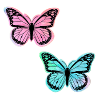 Rainbow tie dye velvet butterfly nipple pasties, showing the color, finish and shape of the design