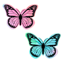 Rainbow tie dye velvet butterfly nipple pasties in full view with its signature color and shape