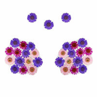 Alternate view of the lilac pink real dried pressed flower nipple pasties