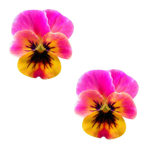Freaking Awesome Flower Pansy Nipztix Pasties, Freaking Awesome Nipple Pasties - NevaNude