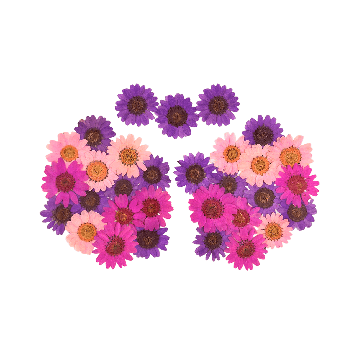Lilac and pink real pressed flower nipple pasties for a garden party