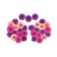 Lilac and pink real pressed flower nipple pasties for a garden party
