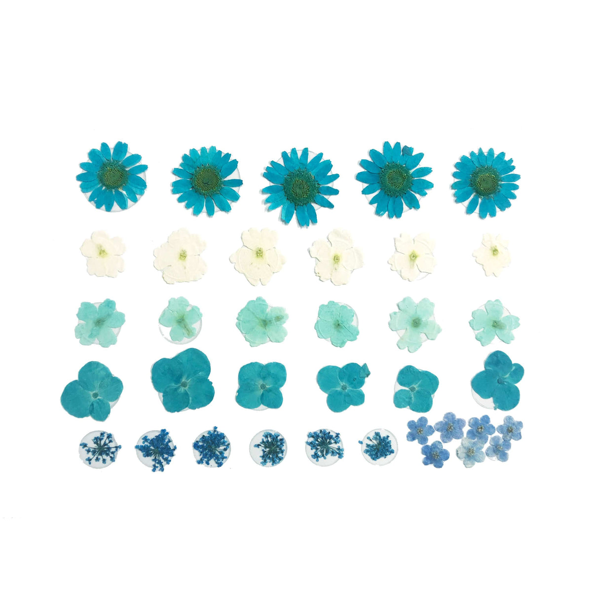 Blue real pressed flower body stickers for a spring meadow rave