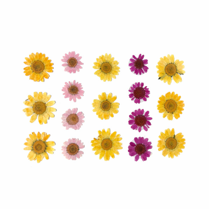 Yellow real pressed flower face and body stickers for a summer solstice